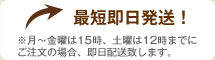 最短即日発送!
